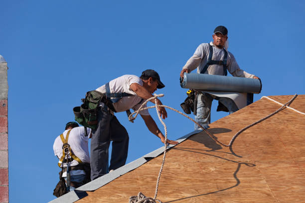 Best Roof Gutter Cleaning  in Jamestown, KY