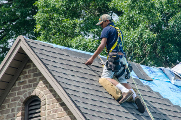 Best Roof Repair Services  in Jamestown, KY